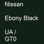 Preview: Nissan, Ebony Black, UA / GT0.